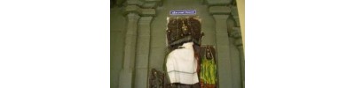 215. திருநெல்வாயில் அரத்துறை